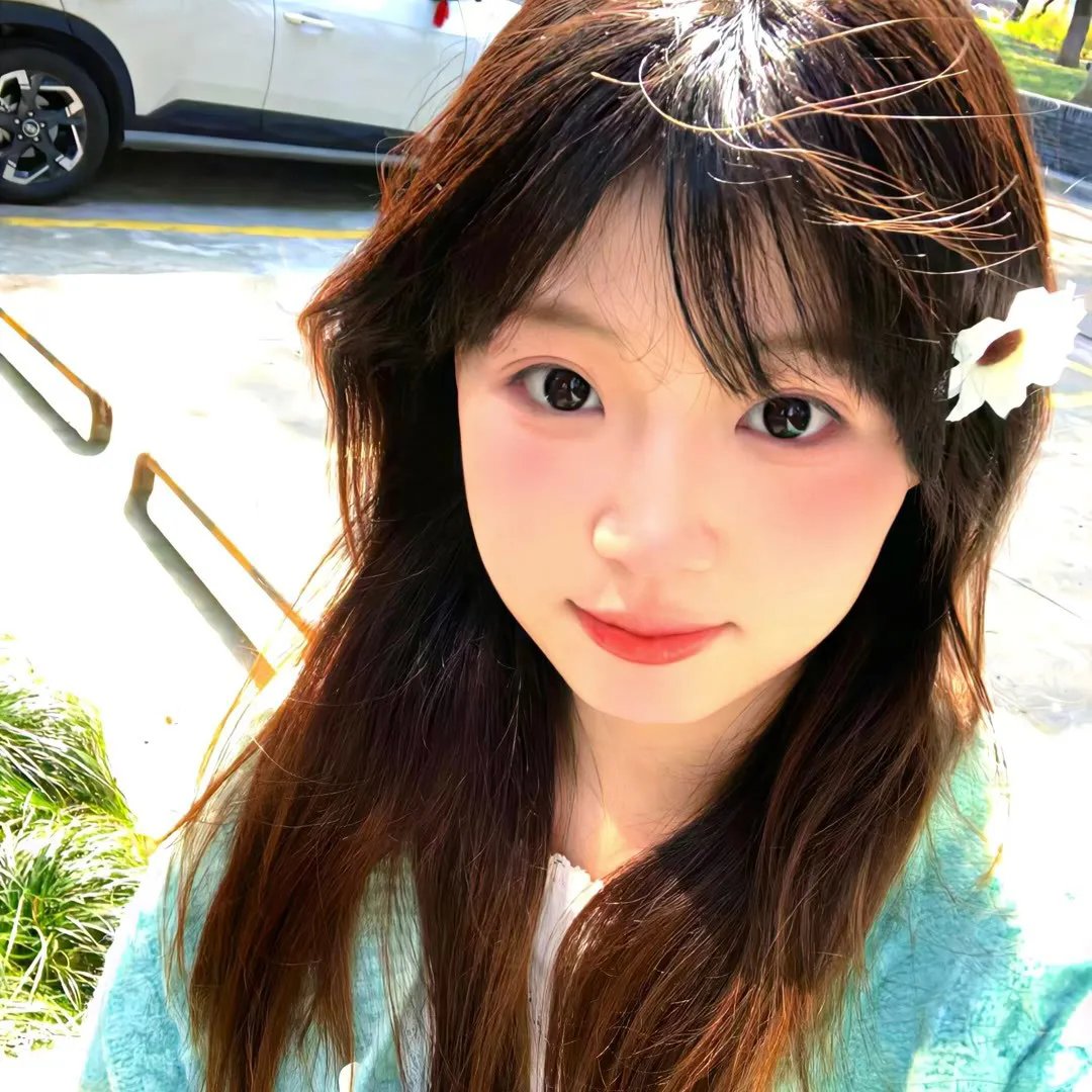 春城花满天